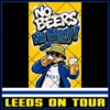 No Beers No Party 6x10cm Stickers